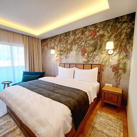 Pensiunea Leonida - Resort Leonida Poiana Tapului Luaran gambar